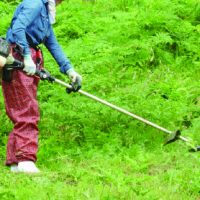 草刈り・庭回り